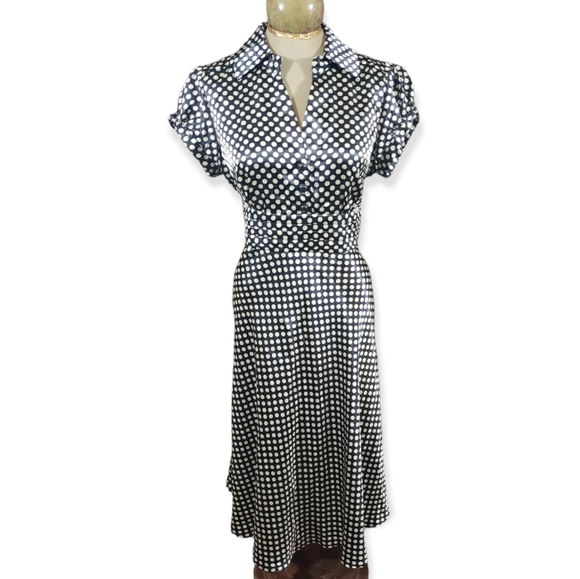 Dress Barn Dresses & Skirts - Dressbarn Polka Dot Shirt Waist Swing Dress